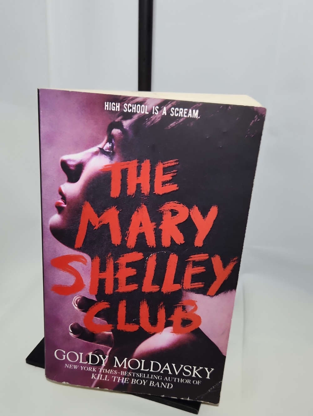 The Mary Shelley Club by Goldy Moldavsky - Pink & Black Paperback